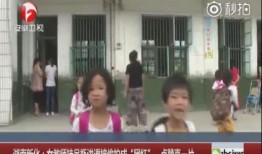 卓颖爆料郑队视频全集,揭秘背后惊人内幕